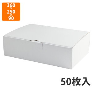 yԓGg[Ń|Cg7{zyϔzEE-95W ͂z 9cm 5@360×250×90mm (50)ysz Mtg  HHip p p zp ͂