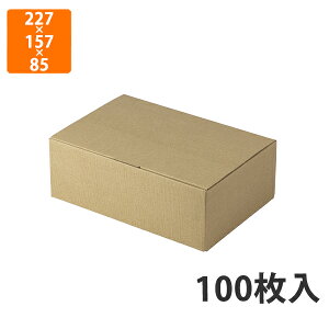 yϔz17-5 nsDz䎆t @227×157×85mm (100)ysz Mtg  HHip p p zp Mtg{bNX Εp p