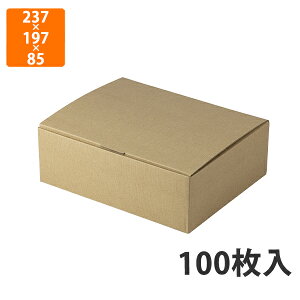 yϔz17-6 nsDz䎆t @237×197×85mm (100)ysz Mtg  HHip p p zp Mtg{bNX Εp p
