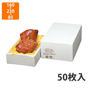 yϔz17-16 p[n sDz䎆t @160×230×85(50)mm (50)ysz Mtg  HHip p p zp Mtg{bNX Εp p