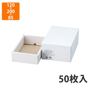 yϔz17-155 p[n 䎆 @120×200×85(50)mm (50)ysz Mtg  HHip p p zp Mtg{bNX Εp p