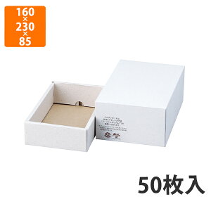 yϔz17-166 p[n 䎆 @160×230×85(50)mm (50)ysz Mtg  HHip p p zp Mtg{bNX Εp p