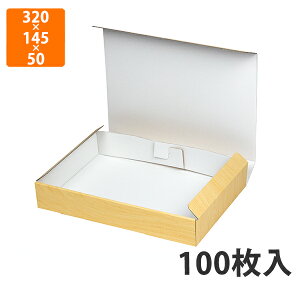 yϔzSK-166 Ebh{bNX(͂) M@320×145×50mm (100)ysz Mtg  HHip p p YHip zp ͂ ⓀE①Hip
