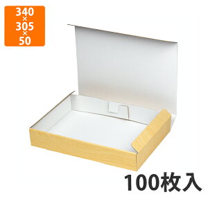 yϔzSK-171 Ebh{bNX(͂) LL@340×305×50mm (100)ysz Mtg  HHip p p YHip zp ͂ ⓀE①Hip