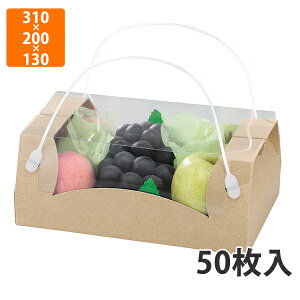 yϔzL-2184 {Rrl[V @310×200×130mm (50)ysz t[cp Mtgp Mtg{bNX  ʕ p ʗp ʕp