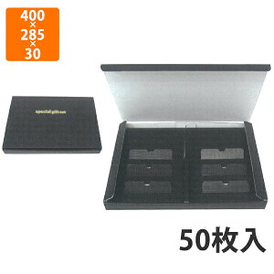 yϔzA-53 T[Ol@400×285×30mm (50)ysz Mtg  HHip p YHip zp ͂ Εp p