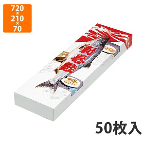 yϔzA-203 V @720×210×70mm (50)ysz Mtg  HHip p YHip zp ͂ Εp p