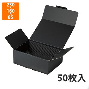 yBLACK FRIDAYGg[Ń|Cg7{IzyϔzNK-451 ^b` Вi䎆t  230×160×85mm (50)ysz Mtg  HHi zp l p
