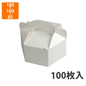 yϔz10-407FS Zp FS S 180×160×85mm (100)ysz  ϖEϐ `{bNX eCNAEgp yHp ĝ gp