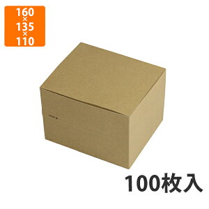 yϔz10-405FSR Wbp[BOX FSR M 160×135×110mm (100)ysz  ϖEϐ `{bNX eCNAEgp yHp t@[Xgt[hp ĝ
