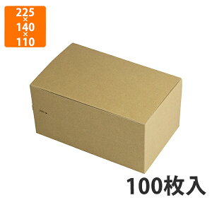 yϔz10-406FSR Wbp[BOX FSR L 225×140×110mm (100)ysz  ϖEϐ `{bNX eCNAEgp yHp t@[Xgt[hp ĝ