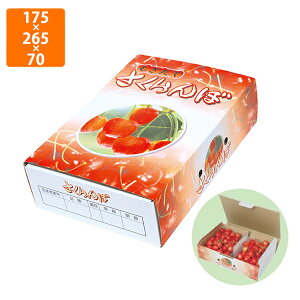 yϔzARL-2075 500g×2P 175×265×70mm (100)ysz t[cp Mtgp Mtg{bNX  ʕ p ʗp ʕp