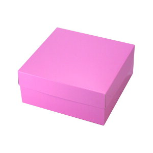 yBLACK FRIDAYGg[Ń|Cg7{IzyϔzJ[XNGA150 sN 20-435PI