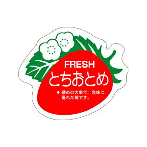 yV[zʃV[ ƂƂ 45×38mm LZ446 (500)