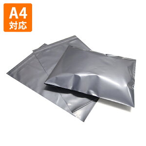 yC[OXӍՃGg[Ń|Cg5{IBLACK FRIDAY11/20zy|܁zrj[z250×340mm(A4ΉTCY)i500j