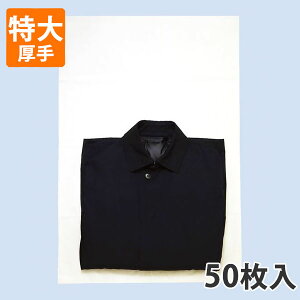 yC[OXӍՃGg[Ń|Cg5{IBLACK FRIDAY11/20zysDzz ^Cv  600×900mm  bsO  ۊǑ܁@ی܁@[ (500)