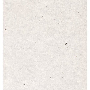 yC[OXӍՃGg[Ń|Cg5{IBLACK FRIDAY11/20zyz    lZS XZT00007