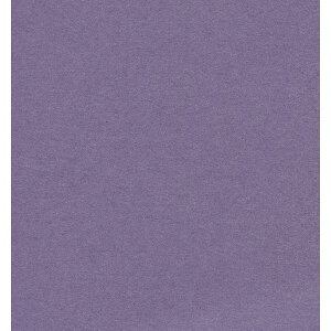 yBLACK FRIDAYGg[Ń|Cg7{Izyz  ܂񂾂 ӂ˂ lZS XZV01510