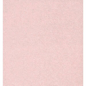 yBLACK FRIDAYGg[Ń|Cg7{Izyz  ܂񂾂  lZS XZV01511