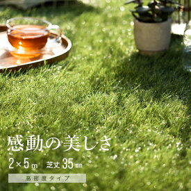 【10%OFF 6/4 20時から】 高密度タイプ 人工芝 2m×5m 芝丈35mm ロール 送料無料 人工芝 芝生マット 人工芝生 人工芝マット 人工芝ロール 芝生 ロールタイプ 固定ピン 庭 ベランダ テラス バルコニー ガーデニング ガーデン 屋上緑化 u字ピン 水はけ