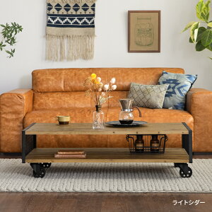 [e[u e[u i  C Z^[e[u [t I LX^[t 120cm rOe[u R[q[e[u ACA `  Be[W re[W 