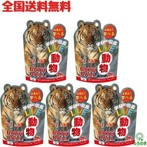 AySzy5Zbg+AălbgzmR[|[V w̐}ӃCu oX{[ }XRbg ~j}ӕt ̍ GKN-6-01   Y_ oX{ 