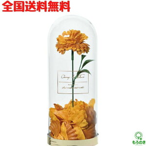 AySzVEhEt[ {bNXoXy^ V}A BBAvl k̍ OB-EGN-6-3 oXy^  AC ̓ v[g v`Mtg V