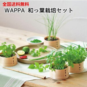 MySzV| WAPPA at͔|Zbg V\ h t Ot ~co RlM ˂ K ~Yi    ͔| | ؍͔| Lb`؉ ͔|Zbg ͔|Lbg v