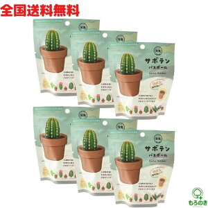 AySzy6Zbg+AălbgtzmR[|[V oX{[ ʎV[Y T{eoX{[ }XRbg t OB-SAB-1-1    oX{ o