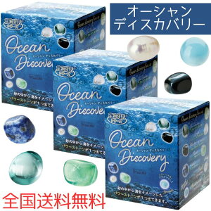 AySzy3Zbg+bZ[WJ[hzmR[|[V 󕨔V[Y I[VfBXJo[ ocean discovery TKZ-37-01 m ߋ  @ z p[Xg[ 