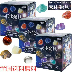 AySzy3Zbg+bZ[WJ[htzmR[|[V 󕨔V[Y V̔ TKZ-36-01 m ߋ  @ z p[Xg[ F w  j̎q 