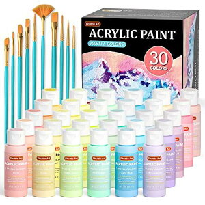 Shuttle Art ANG̋ pXeJ[ 30F G̋Zbg 60ml yCguV10{t 킢 _炩F LoX///KX/Z~bNɕ` G ރZbg CXg h