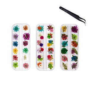 YFFSFDC lCԃhCt[ lCA[g Wp [X 3DlC W 3P[XZbg