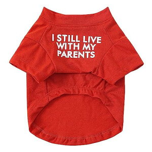 Jimjis  tďH~ ̕ ybg L LN^[^Ngbv   hbOEFA m ʋC Lk ybg U o Ă\h ё΍