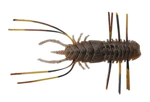 Jackall Lures JACKALL(WbJ) tA 60 KTKTeiKGr