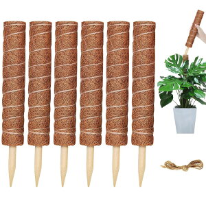 YOUSHY|x ϗtAX ex K[fjO鐫ARRXeBbNx ϗtAԎx _Ɨp|pi640cmx+2mj