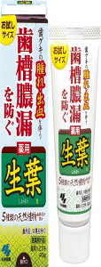 生葉(しょうよう) お試しサイズ 歯槽膿漏を防ぐ 薬用ハミガキ 和漢ハーブの香味 40g 【医薬部外品】