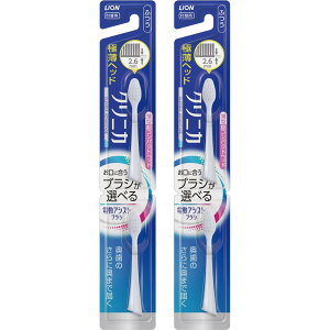 VXe} CI dAVXguV tփuV NjJ Ahoe[W RpNg ӂ 2{ ×2