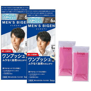  jp y򕔊Oiz z[[ YrQ vbV 6A (AbVuE) 140g+240g J[OpP[vZbgt×2