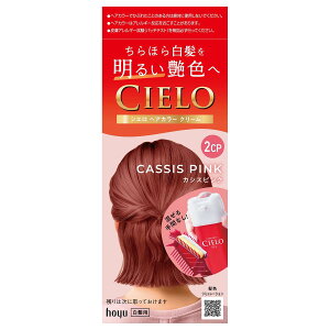 y߁zVG wAJ[ N[ 2CPiJVXsNj邢 z[[ fB[X ZtJ[ y򕔊Oizcielo hoyu