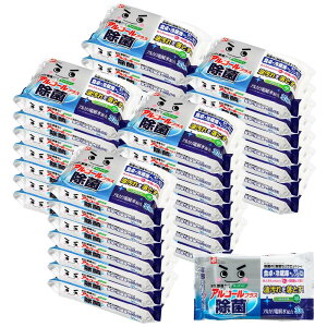 レック(LEC) レック 除菌の 激落ちくん ウェットシート 30枚入×36個 (1,080枚) 大容量 ケース販売