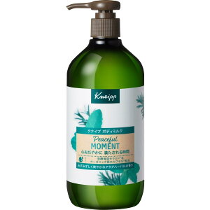 NiCv {fB~N s[Xt[g ANAn[o̍ 430g