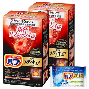 ou fBLA tbV 6×2 +  t [򕔊Oi]