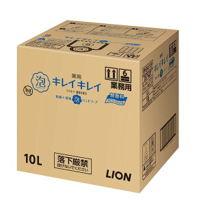 yƖp eʁzLCLC p Anh\[v 10L v (򕔊Oi) lߑւ