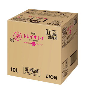 yƖp eʁzLCLC p Anh\[v 10L VgXt[eB̍(򕔊Oi) lߑւ