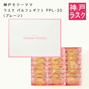 y_˃[}}zXN ptFMtgPPL-30qv[r48y_˃XC[c  yY 蕨 Mtg v[g mَq Ăَqz