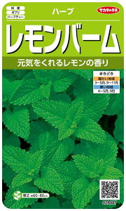 TJ^̃^l n[u8087 o[ n[u 00928087