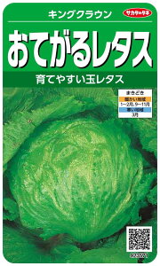 TJ^̃^l 3571 Ă郌^X LONE 00923571