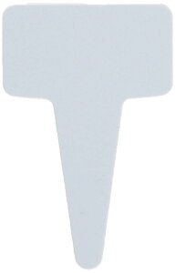 avX`bN (ACTOR) |px T^x F-7  s4.8×3.1cm 18