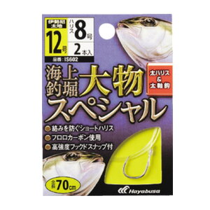 nuT(Hayabusa) Cޖx t 啨XyV IS602 12-8